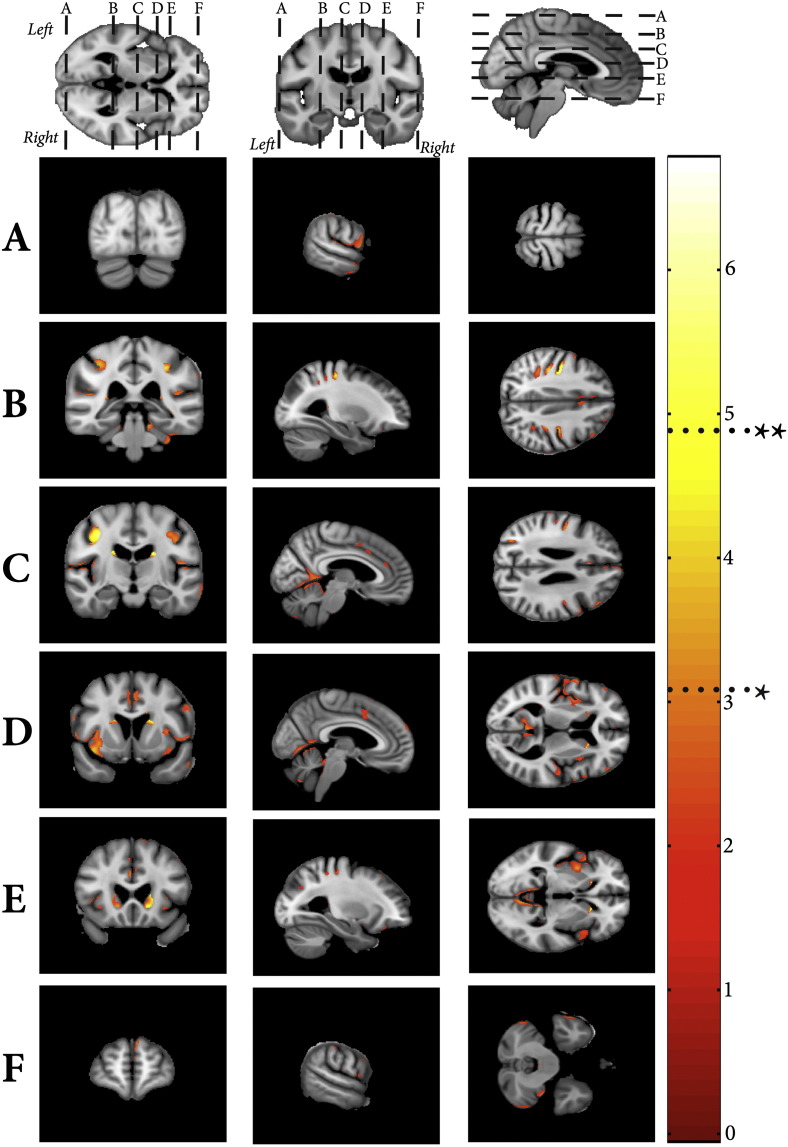 Fig. 3