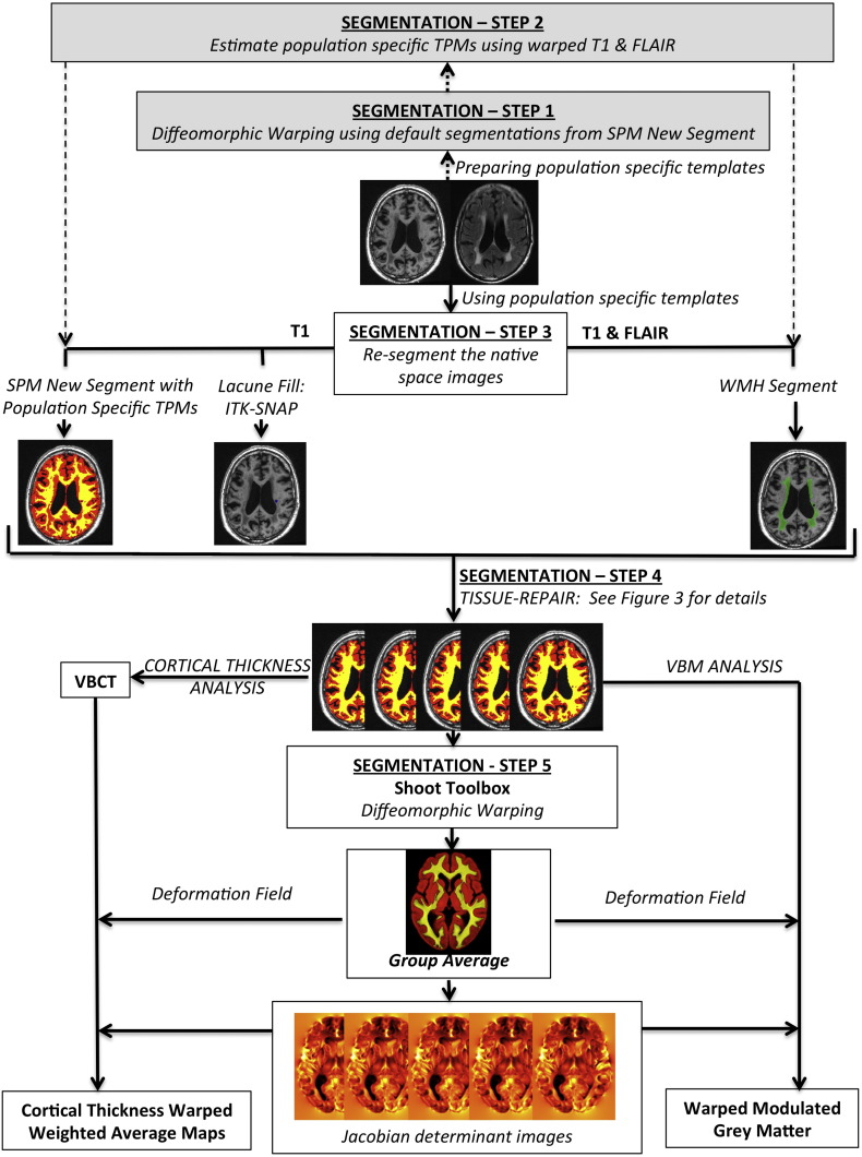 Fig. 1