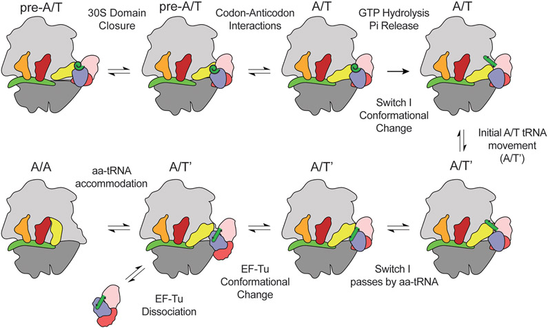 Figure 6.