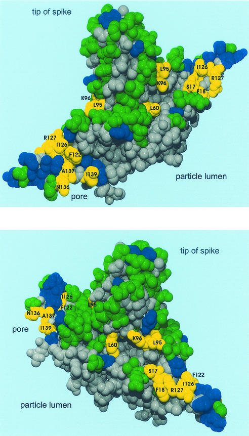 FIG. 4.