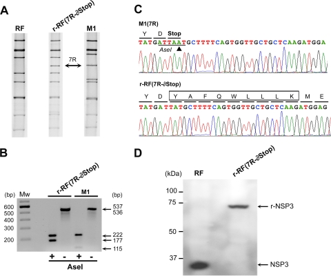 FIG. 6.