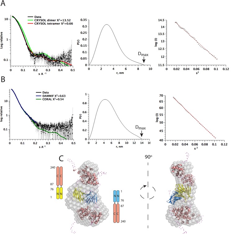 Fig 6