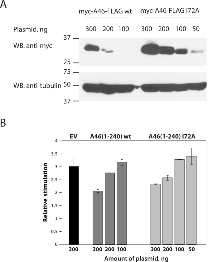 Fig 5