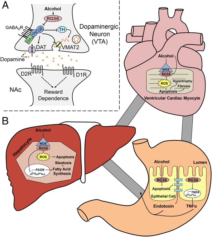 Fig. 8.