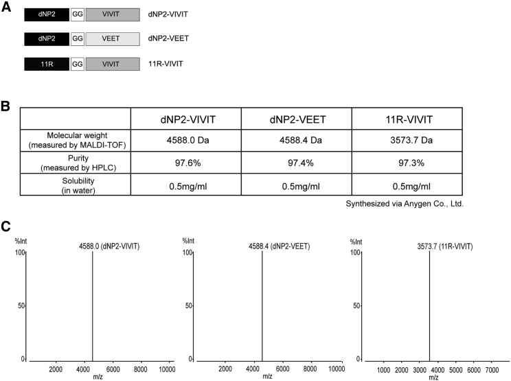 Figure 1