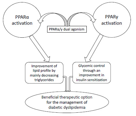 Fig. (1)