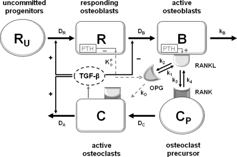 Fig. 1