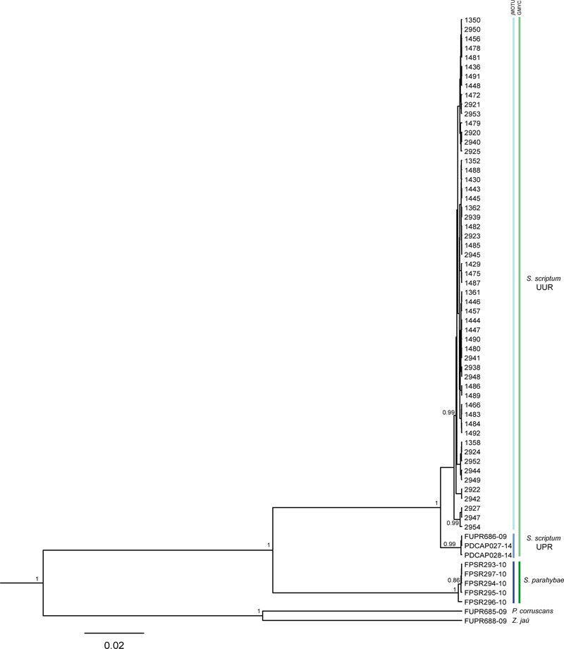 FIGURE 2