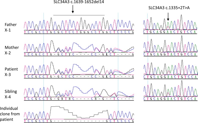 Fig 3