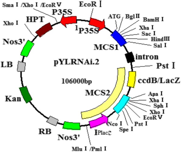 Fig. 11