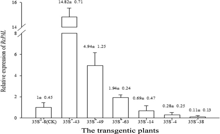 Fig. 9