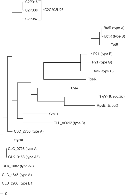 FIG. 5.