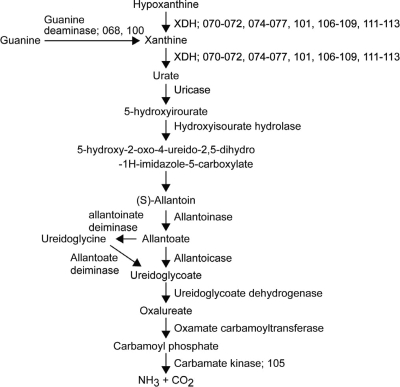 FIG. 6.