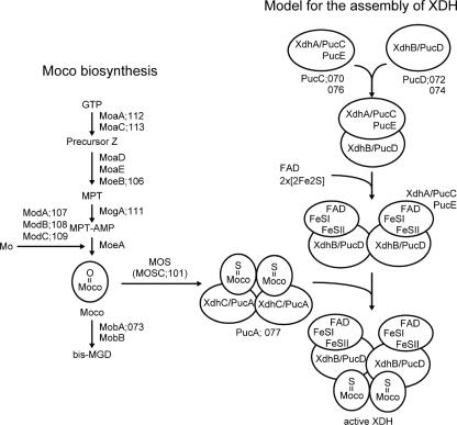 FIG. 7.