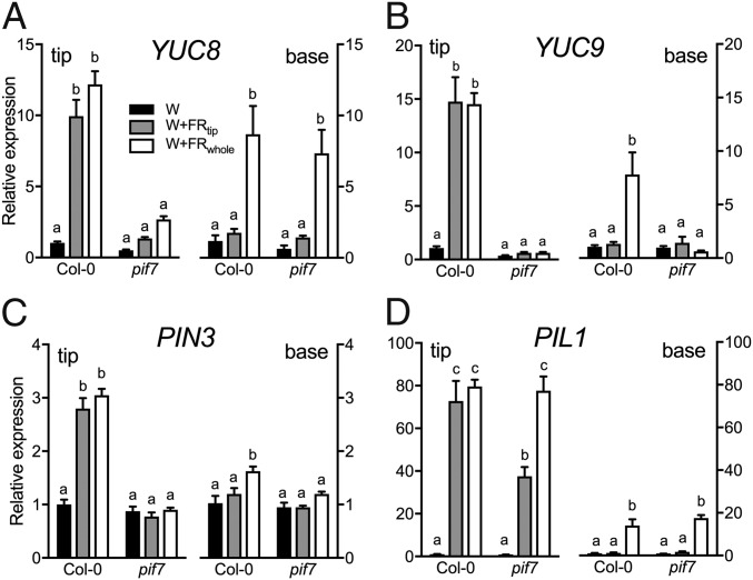 Fig. 4.