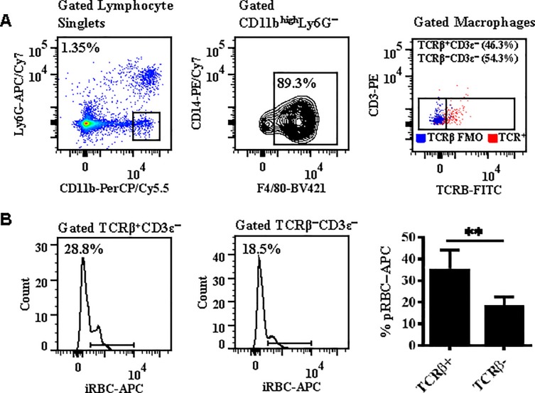 Fig 10