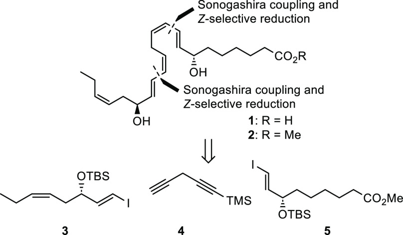 Scheme 2