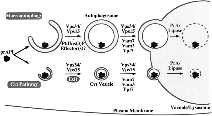 Figure 9.