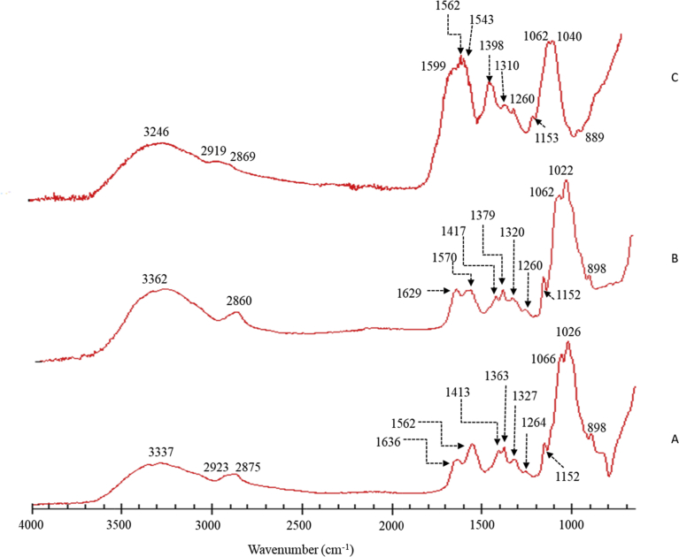 Fig. 2