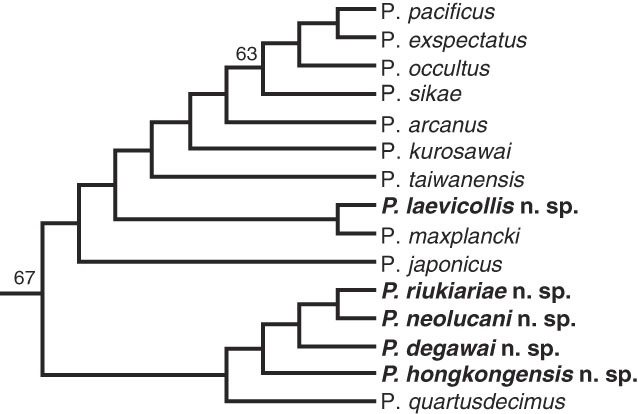 Figure 14