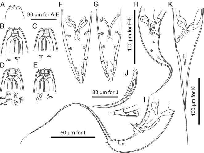 Figure 8