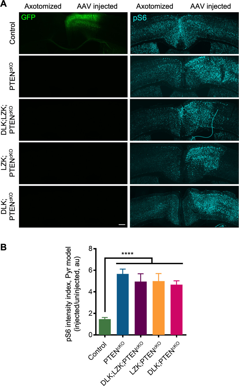 Figure 12.