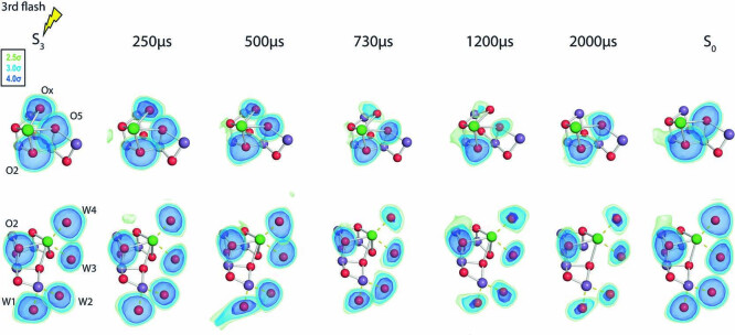 Extended Data Fig. 1