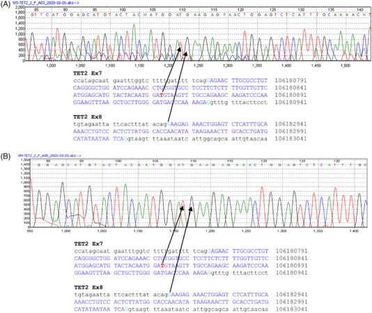 FIGURE 3