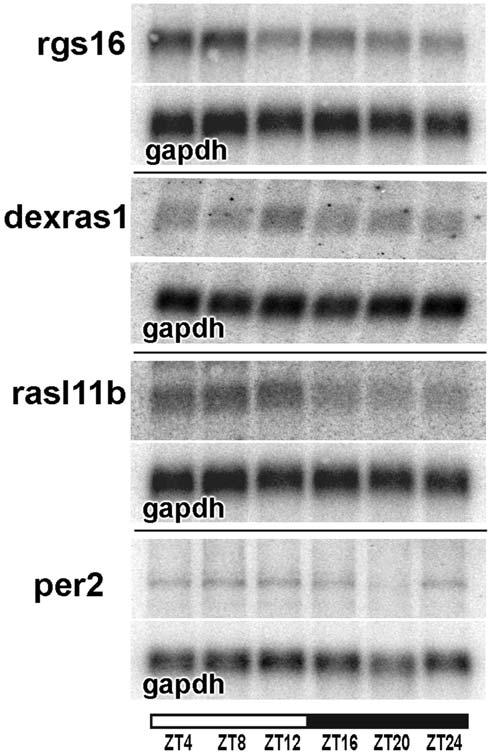 Fig. 6