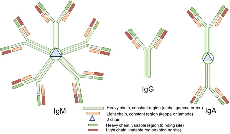 Fig. 1.