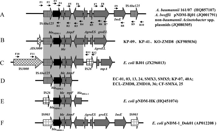 FIG 3