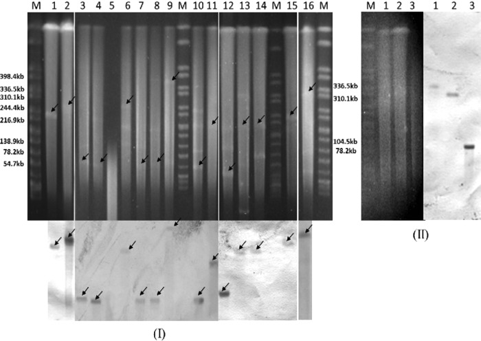 FIG 2