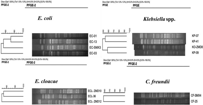 FIG 1