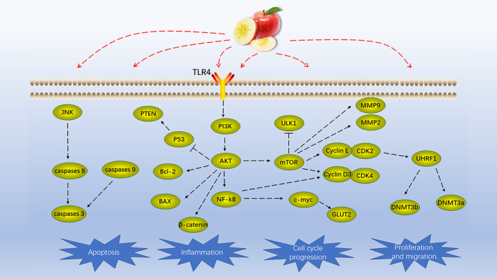 FIGURE 4