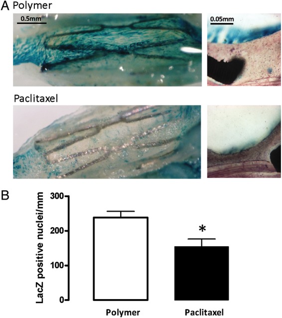 Figure 5