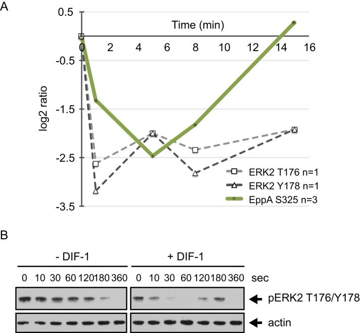 FIGURE 7: