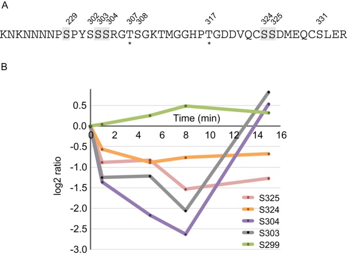 FIGURE 5: