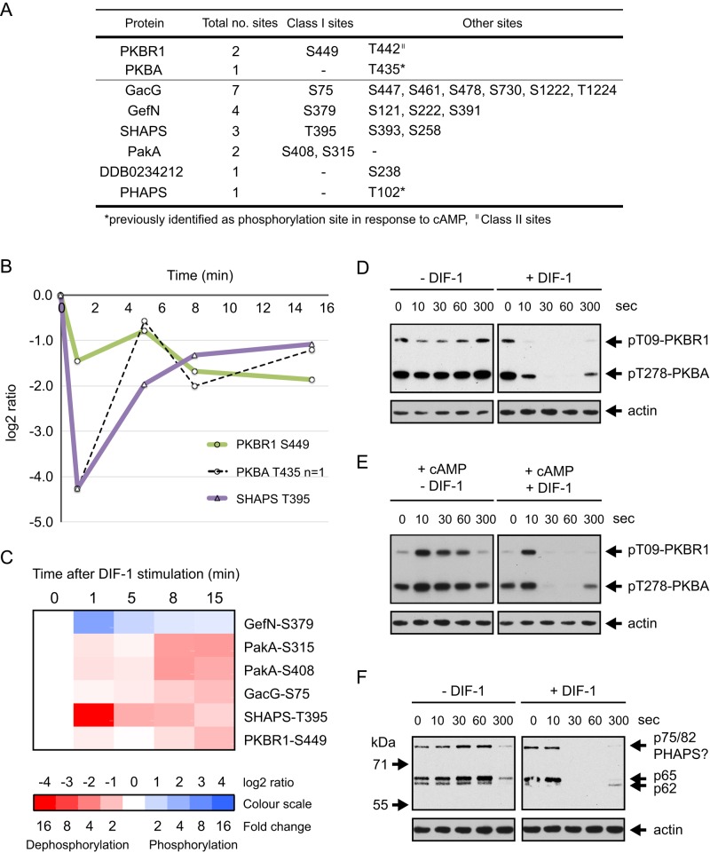 FIGURE 6: