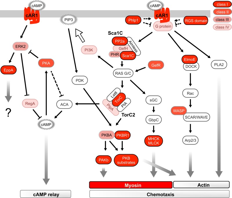 FIGURE 4: