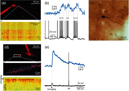 Fig. 2