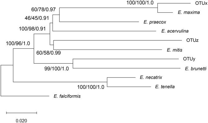 Fig. 6