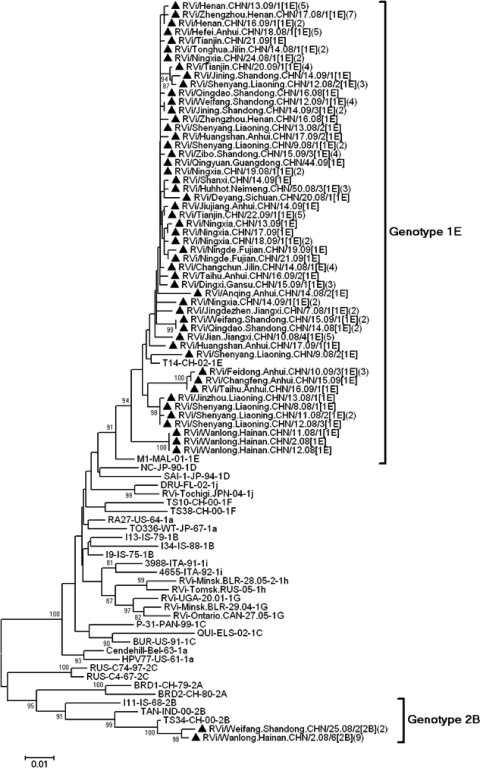 Fig 4