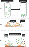Fig. 23