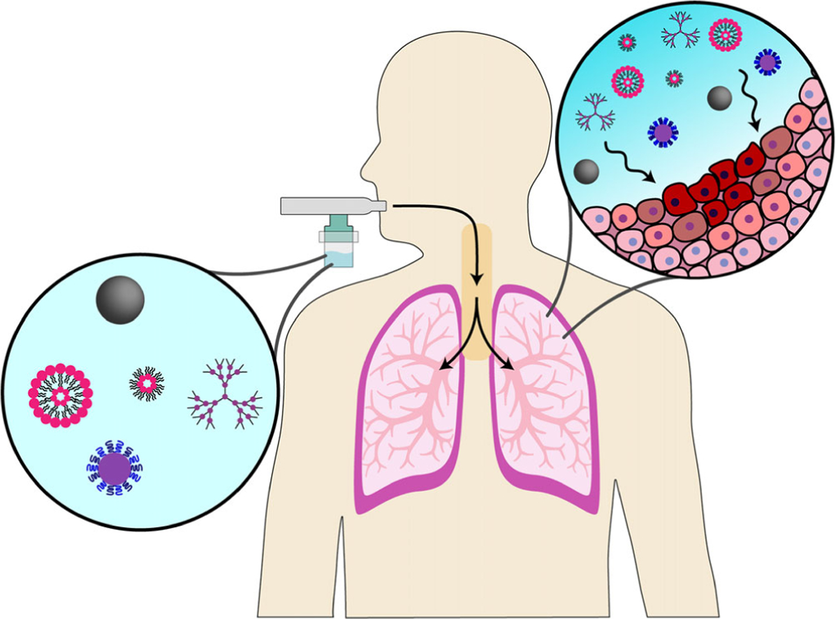 FIGURE 1