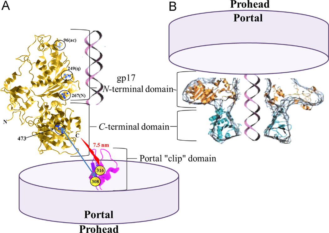 Fig. 6