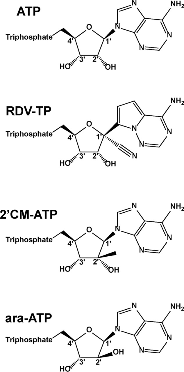 Figure 4.