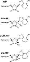 Figure 4.