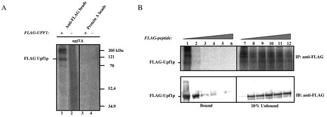 FIG. 5.