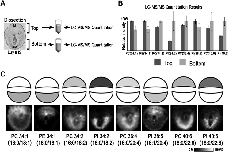 Fig. 6.