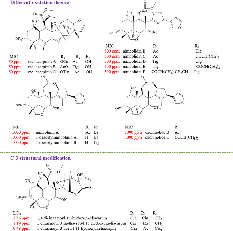 FIGURE 11